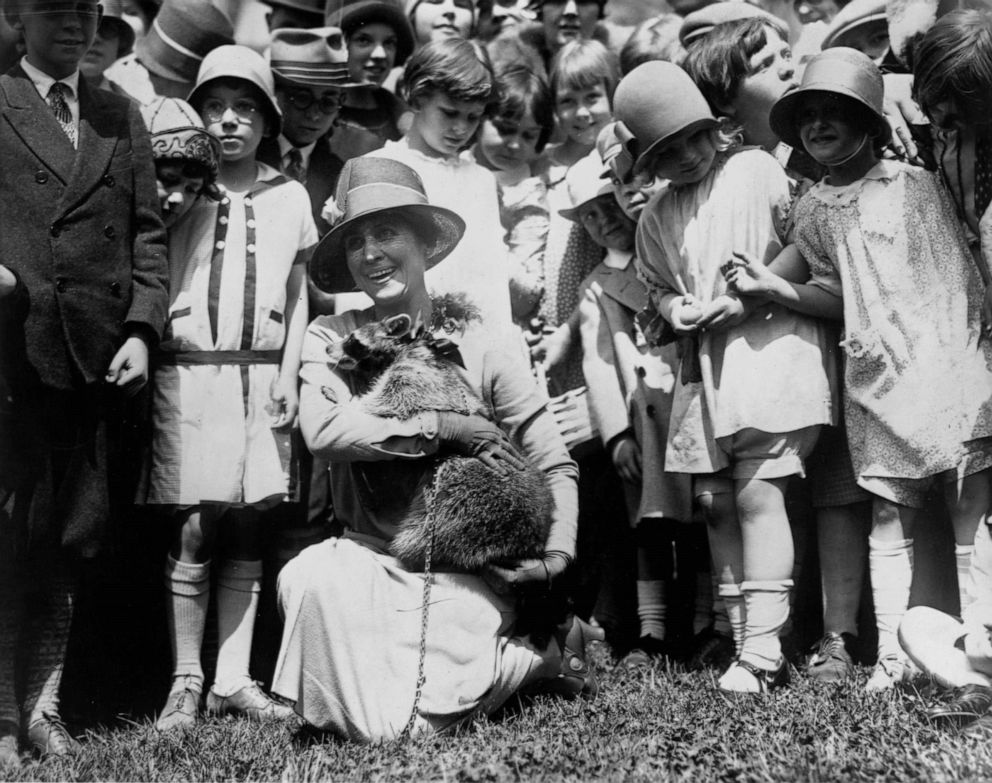 PHOTO: First Lady Grace Coolidge shows her pet raccoon to children gathered on the White House grounds for Easter egg rolling, circa 1923.