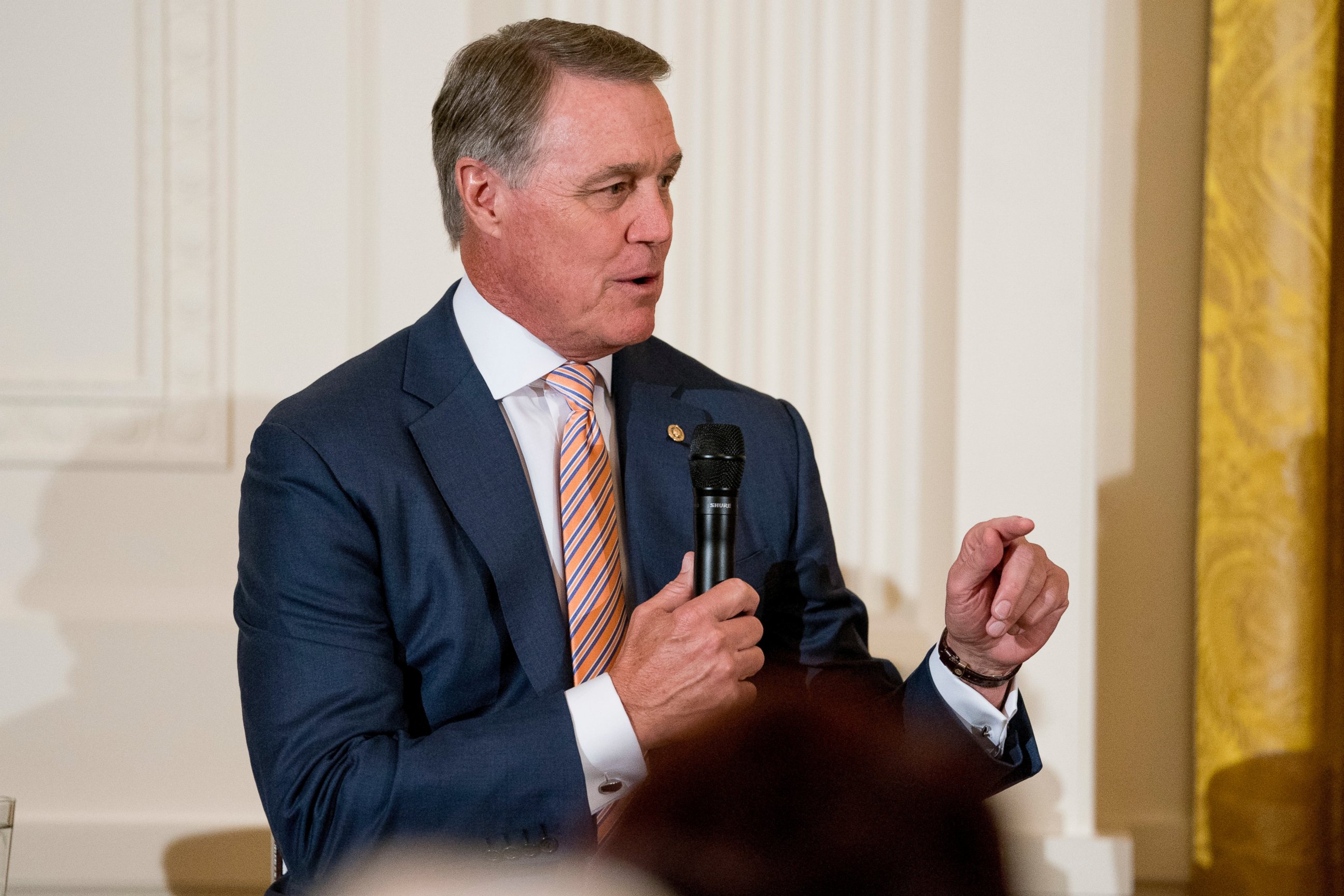 PHOTO: Sen. David Perdue, R-Ga., speaks at a roundtable during an event to salute U.S. Immigration and Customs Enforcement officers and U.S. Customs and Border Protection agents in the East Room of the White House in Washington, Monday, Aug. 20, 2018.