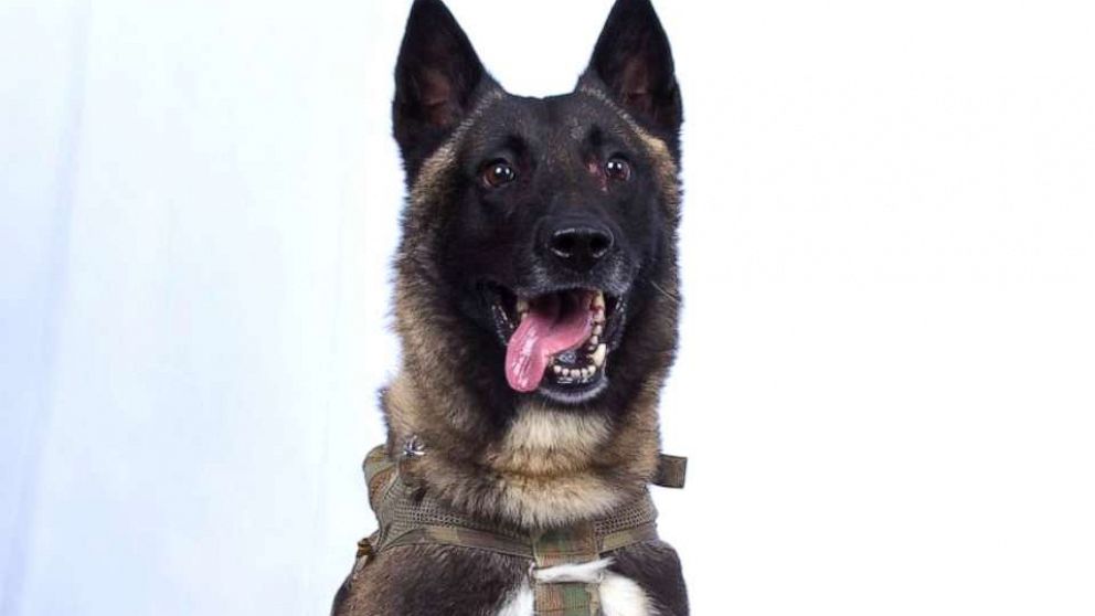 Gen. Mark Milley, chairman of the Joint Chiefs of Staff, told reporters at a Pentagon briefing Monday that the dog was "slightly wounded and fully recovering."