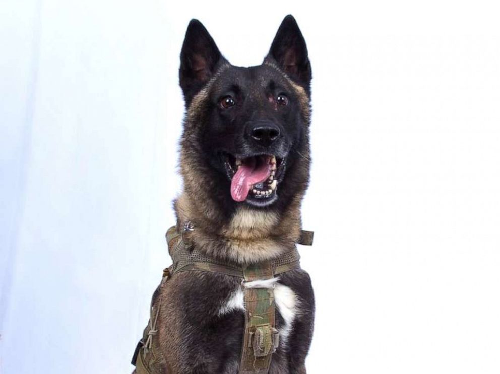 PHOTO: President Donald Trump posted a photo saying this is the dog that was involved in the capturing and killing of ISIS leader Abu Bakr al-Baghdadi, Oct. 28, 2019.