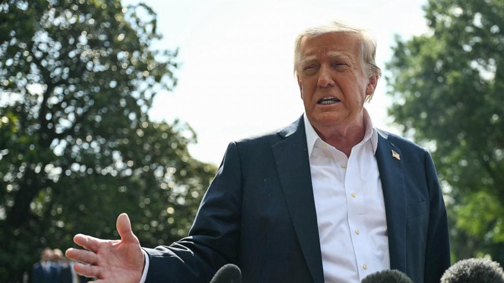 PHOTO: Donald Trump speaks to the press before boarding Marine One on the South Lawn of the White House in Washington, DC, on July 11, 2025.