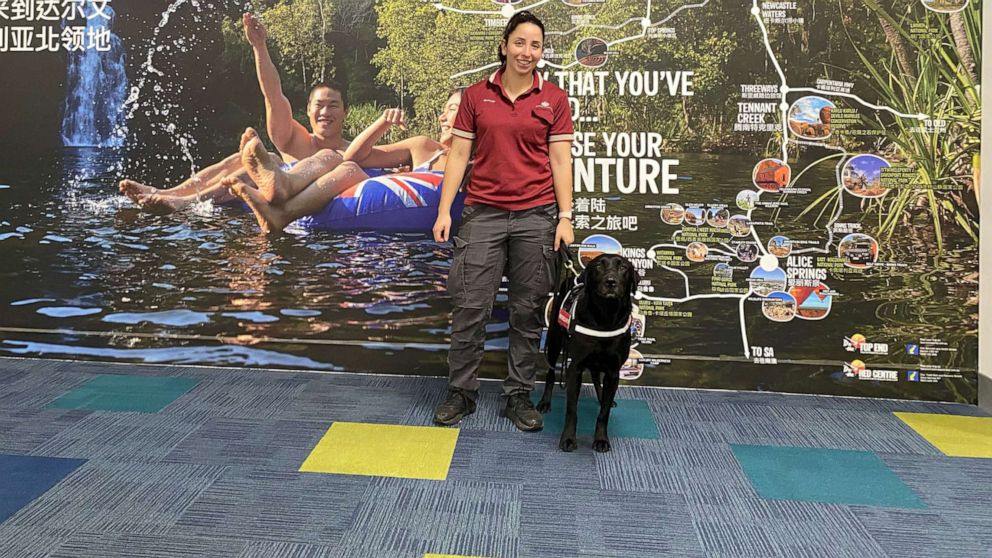 PHOTO: Detector dog Zinta is shown with her handler at Darwin airport in Darwin, Australia.