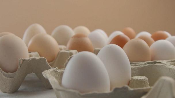 Economists also largely rejected the attribution of blame for egg prices to any president, whether former President Joe Biden or President Trump.