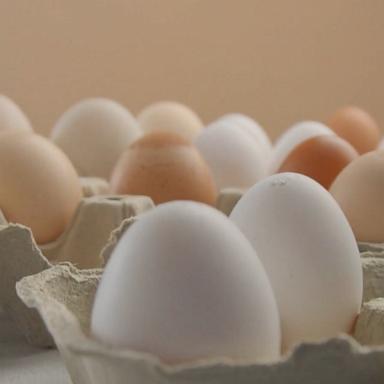 Economists also largely rejected the attribution of blame for egg prices to any president, whether former President Joe Biden or President Trump.