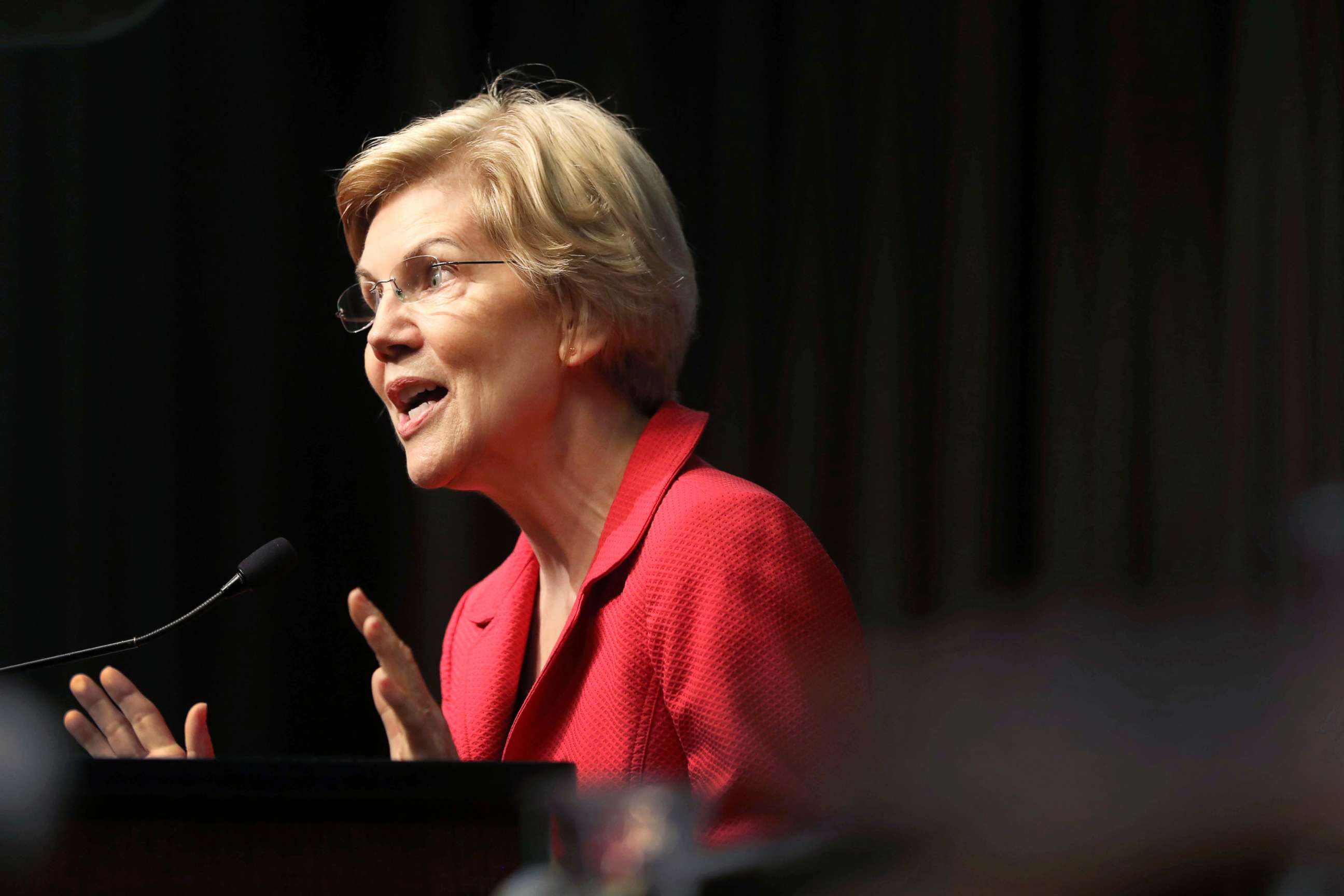 PHOTO: Democratic presidential candidate U.S. Sen. Elizabeth Warren speaks at the National Action Network's annual convention on April 5, 2019 in New York City.