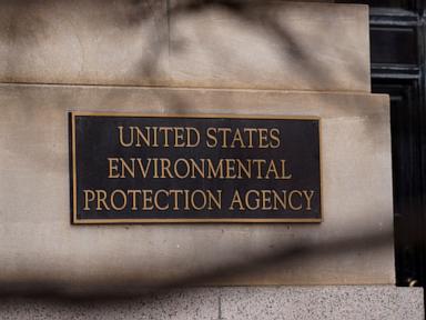 EPA workers silenced as agency cancels hundreds of grants