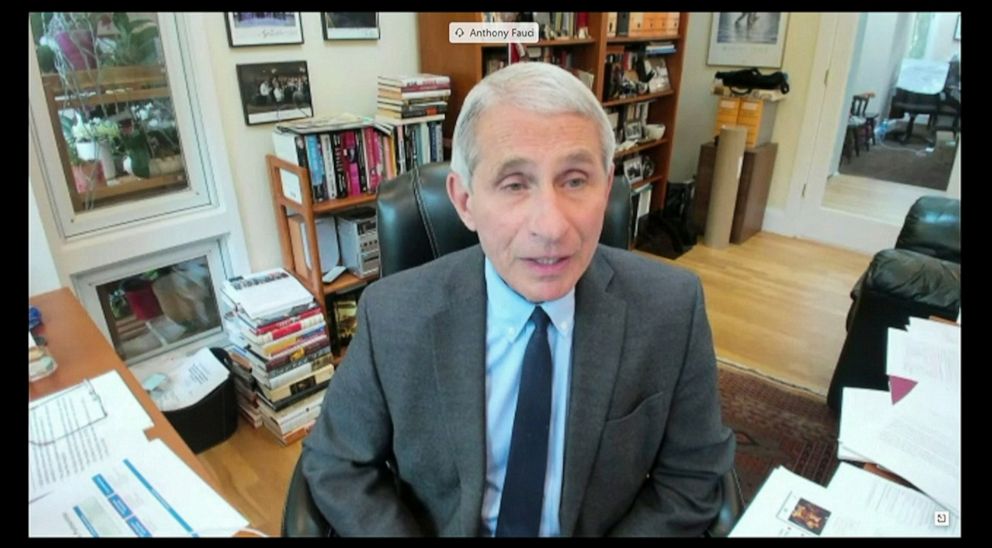 PHOTO: Dr. Anthony Fauci, director of the National Institute of Allergy and Infectious Diseases  testifies remotely from his home during a Senate Committee hearing on the coronavirus disease (COVID-19) in Washington, May 12, 2020. 