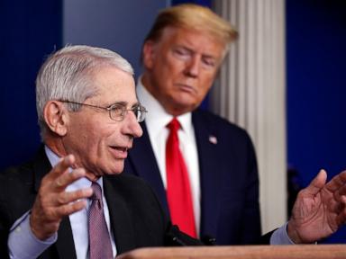 4 takeaways from Fauci's journals ahead of his Senate testimony
