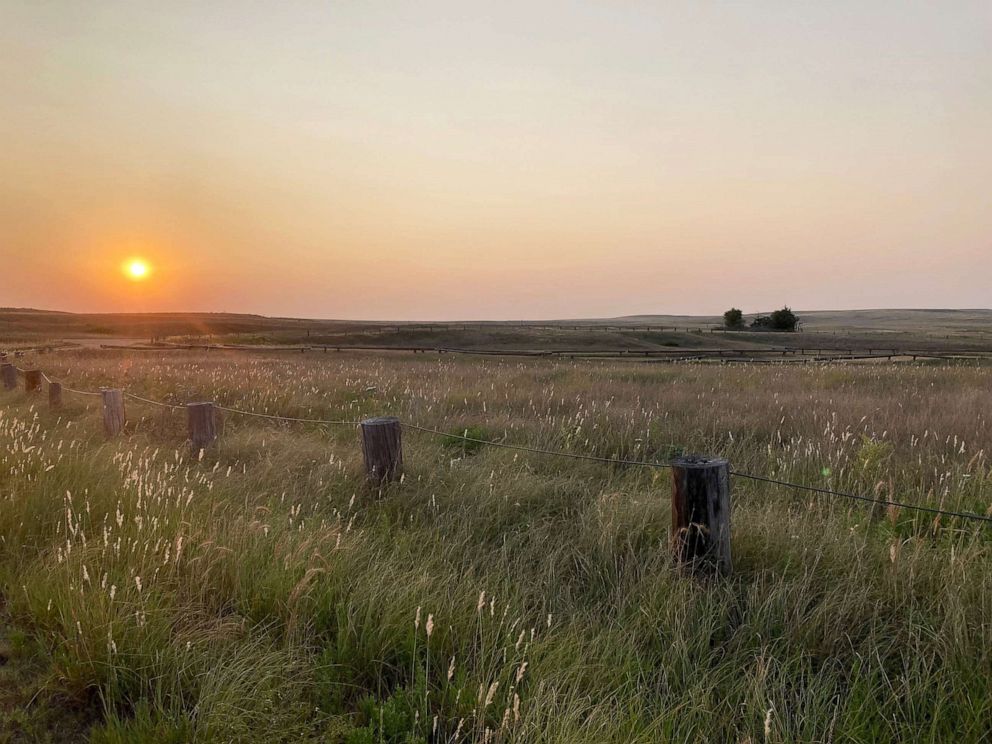PHOTO: A field in southwest Kansas where former FBI informant Dan Day brought Patrick Stein in 2016. 