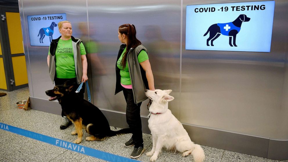 COVID-19 canines: How dogs may...