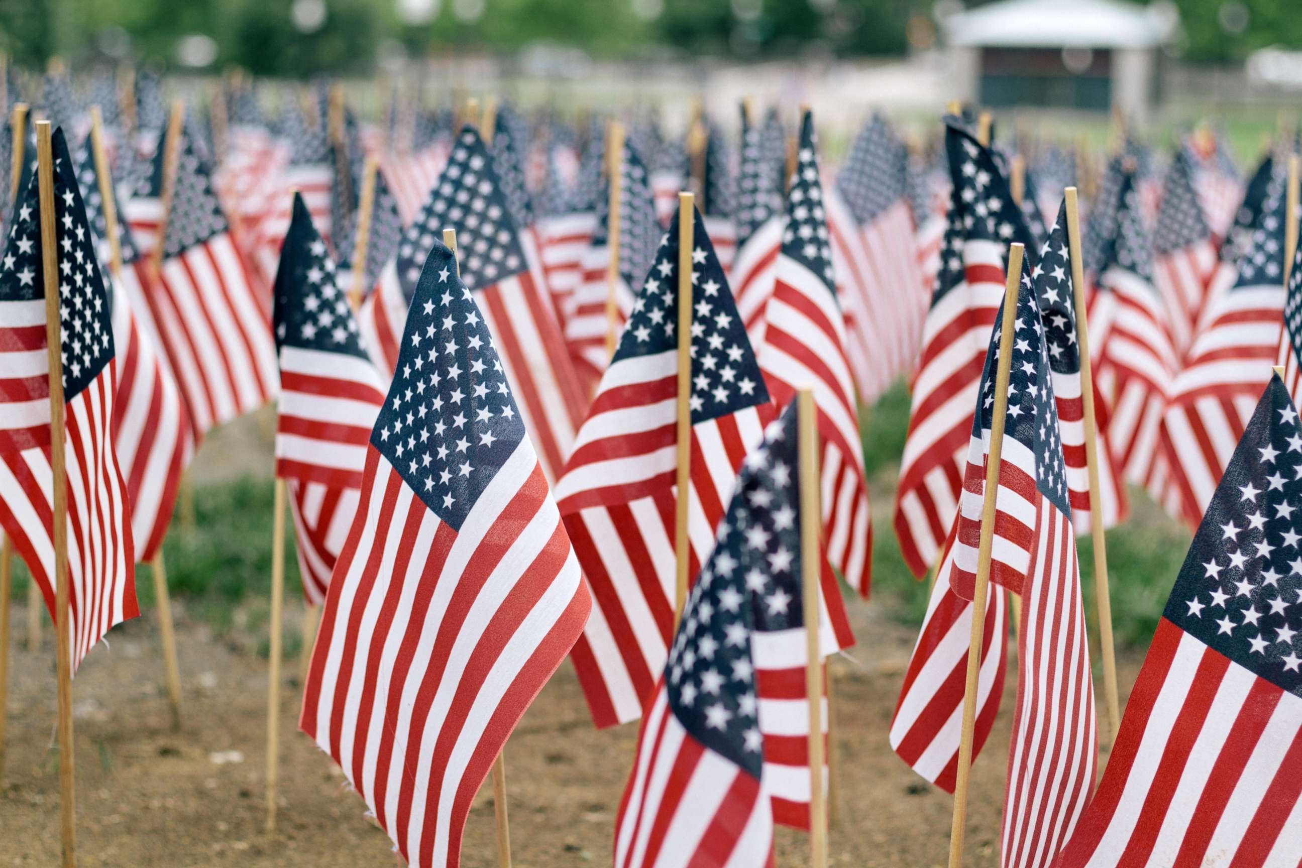 PHOTO: US flags are seen in this undated stock photo.