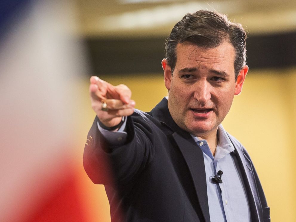 PHOTO: Senator Ted Cruz speaks to the South Carolina Tea Party Coalition convention on Jan. 18, 2015 in Myrtle Beach, S.C.