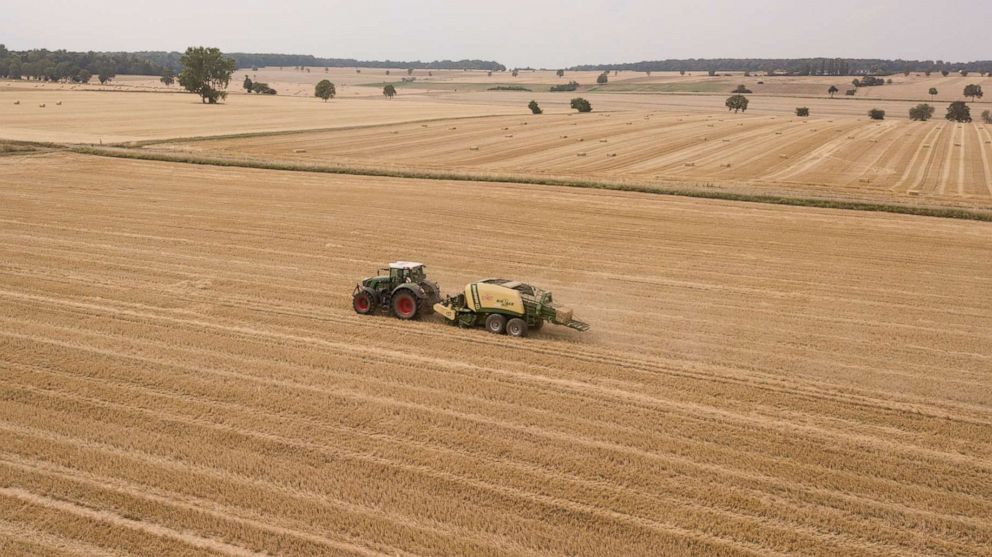 PHOTO: A tractor pulls a square baler press and creates square bales from the straw of a harvested wheat field. 