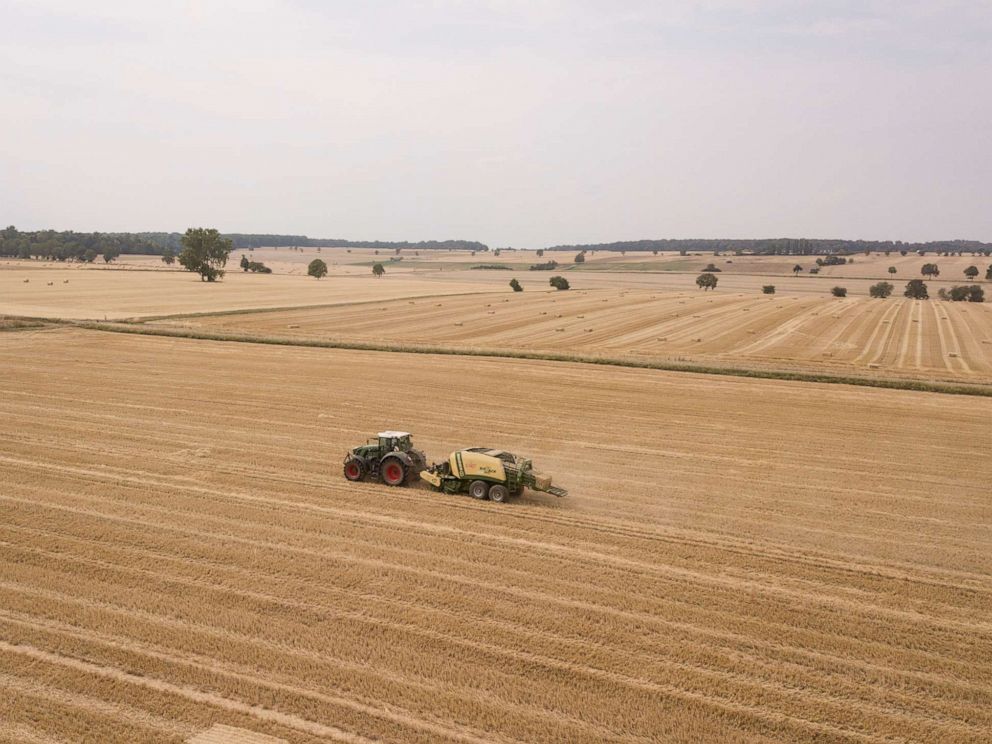 PHOTO: A tractor pulls a square baler press and creates square bales from the straw of a harvested wheat field. 