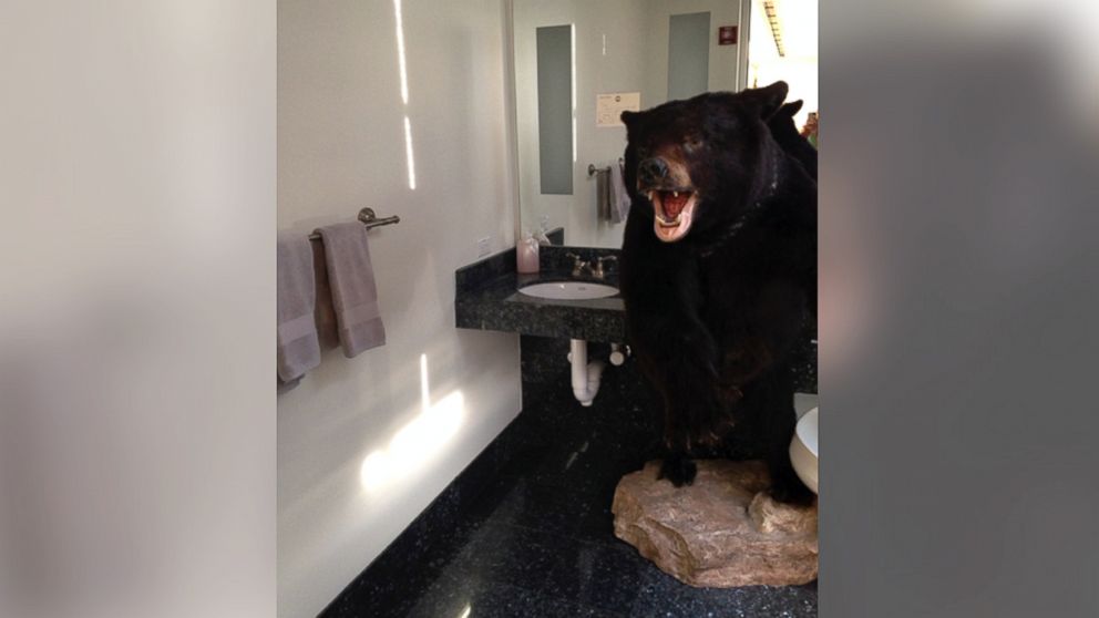 PHOTO: Former Virginia Governor Bob McDonnell left a giant bear in the bathroom as a practical joke on newly inaugurated Gov. Terry McAuliffe.