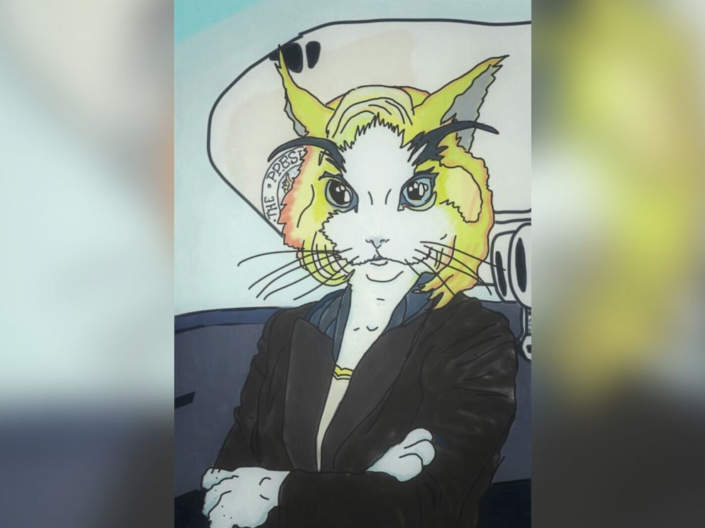 PHOTO: New York Sen. Kirsten Gillibrand is imagined as a cat.