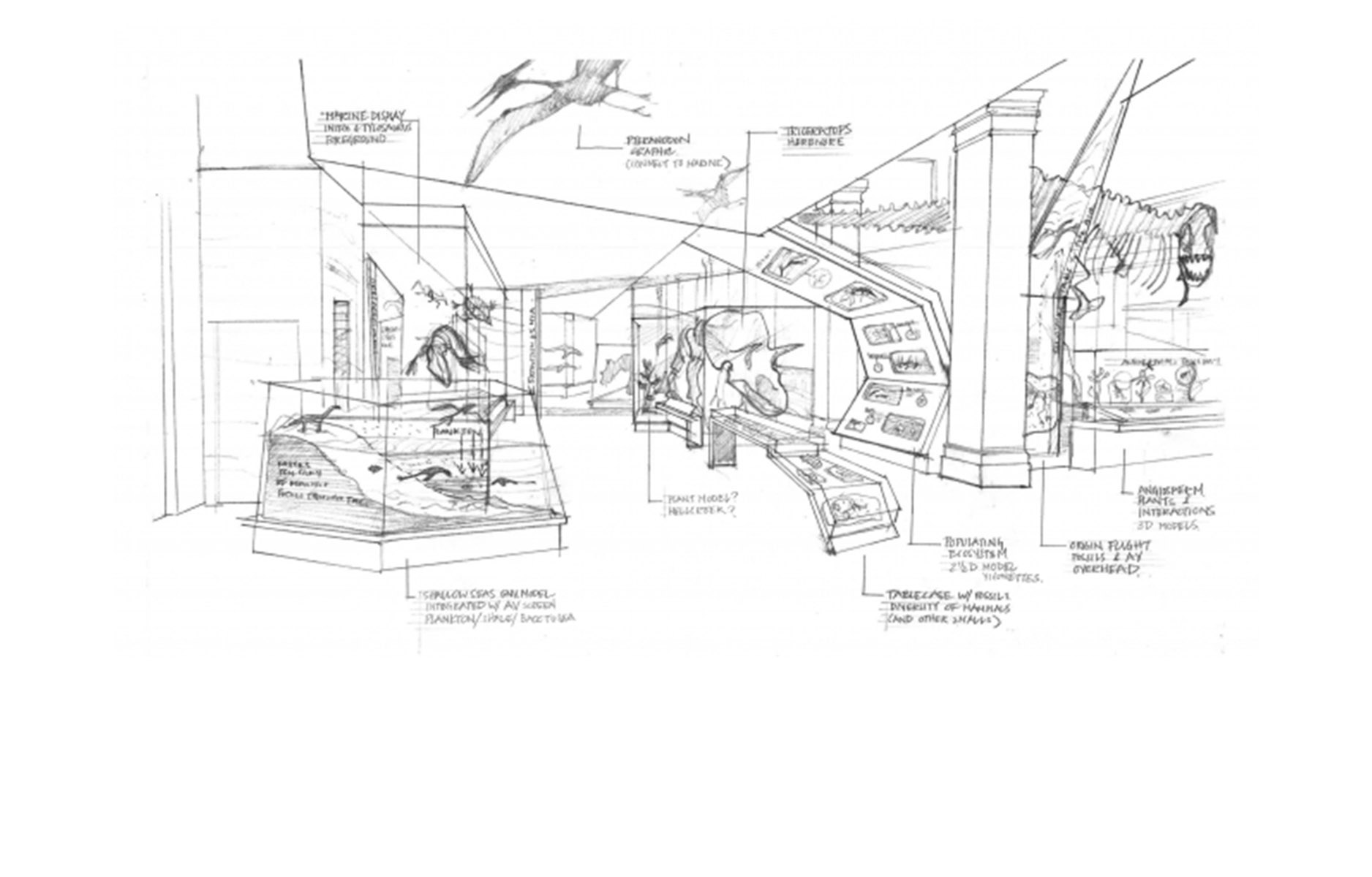 PHOTO: This exhibit sketch featuring a Triceratops and pterosaur brings the world in which the T. rex lived to life, and is just one possibility of what visitors could see after the museum’s largest, most extensive exhibition renovation is complete. 