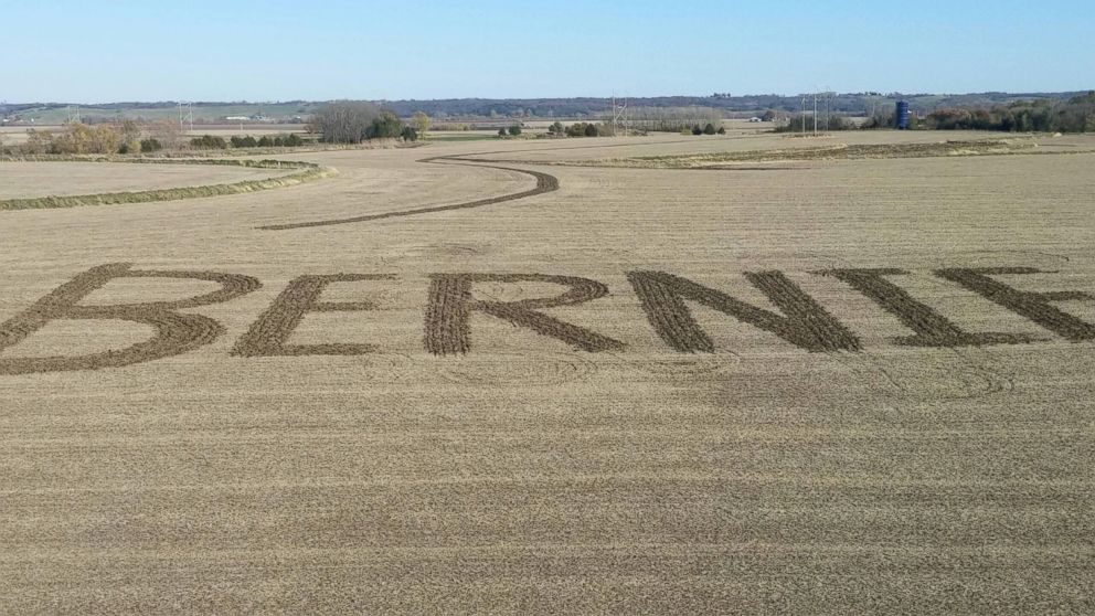 PHOTO: Mike Pattavina plowed a "Bernie" sign in his Iowa soybean field.