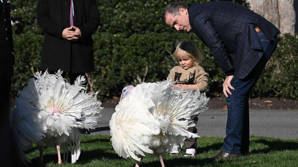PHOTO: Hunter Biden and his son Beau Biden look at the two national Thanksgiving turkeys, Chocolate and Chip, in the Rose Garden of the White House before a pardon ceremony, Nov. 21, 2022.