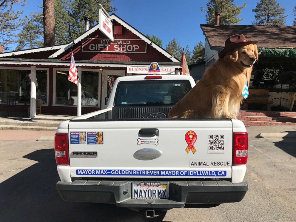 PHOTO: Idyllwild Mayor Max II sits in the back of his official mayoral vehicle in downtown Idyllwild, Calif., June 7, 2019.