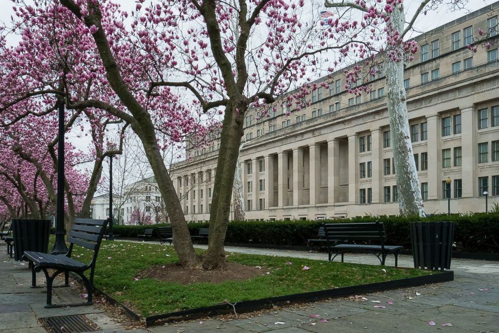 PHOTO: The headquarters of the Ministry of the Interior is photographed while the Magnolia trees flourish in Washington, March 13, 2016.