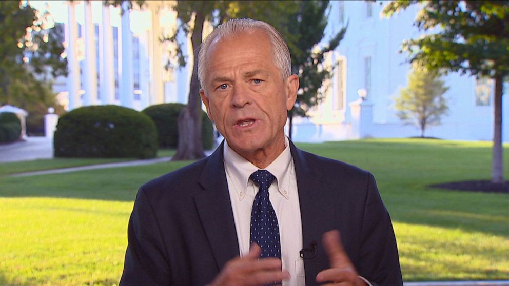 PHOTO: Peter Navarro appears on "Good Morning America," July 29, 2020.