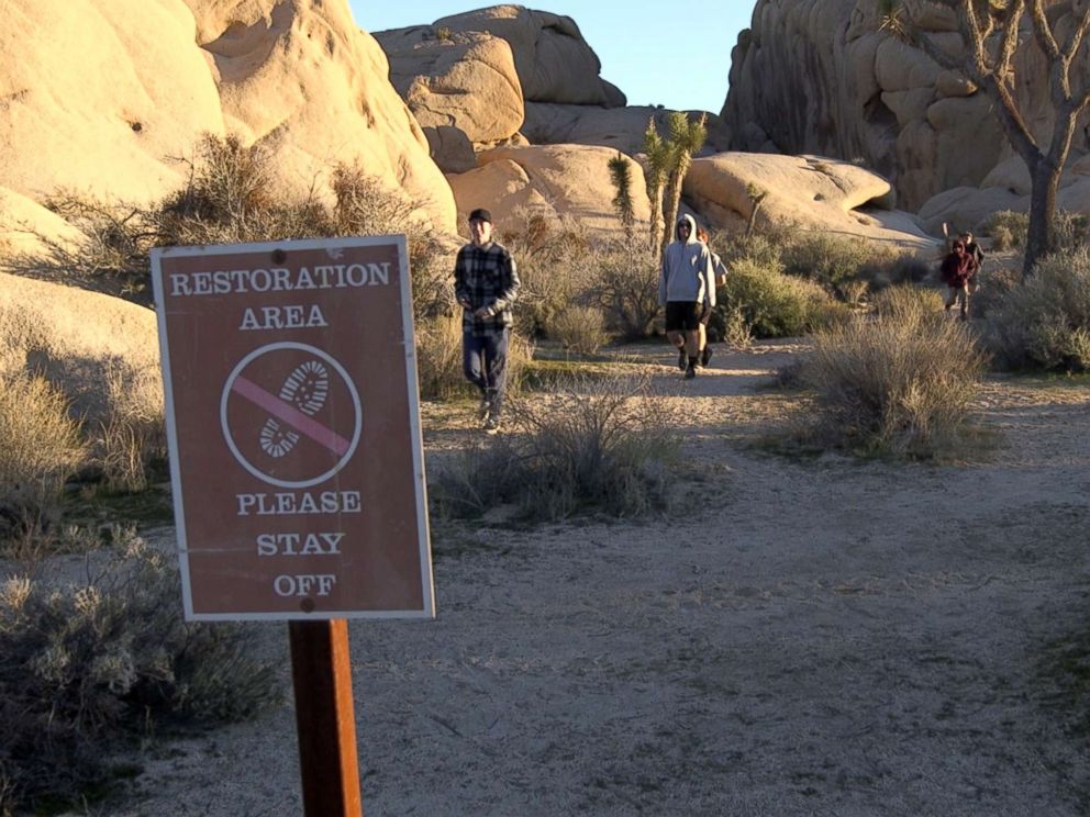 PHOTO: Visitors walk through a sensitive restoration area at Joshua Tree National Park in January 2019, during a partial government shutdown.