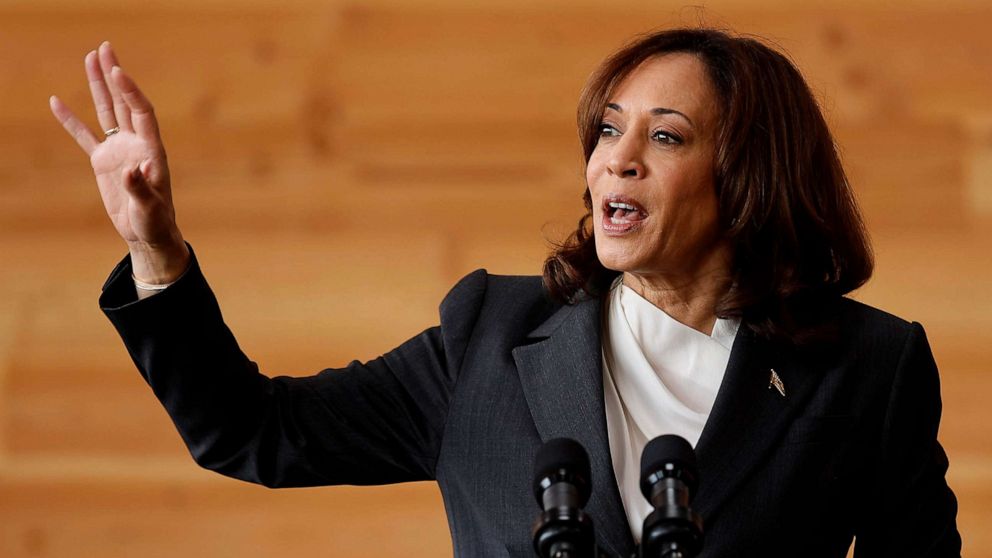 PHOTO: FILE - Vice President Kamala Harris delivers remarks during her visit to Sycamore & Oak, a minority-owned retail village of other local small businesses, August 04, 2023 in Washington, DC.