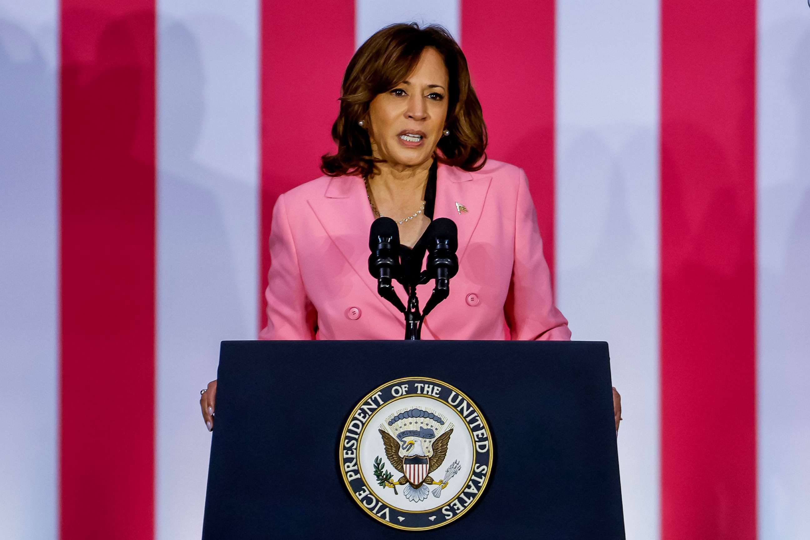 PHOTO: Vice President Kamala Harris speaks on the one year anniversary of the US Supreme Court's Dobbs decision at the Grady Cole Center in Charlotte, N.C., on June 24, 2023.