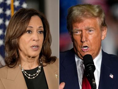 Democrats sweat Harris' polls, but strategists say election is 'jump ball': ANALYSIS