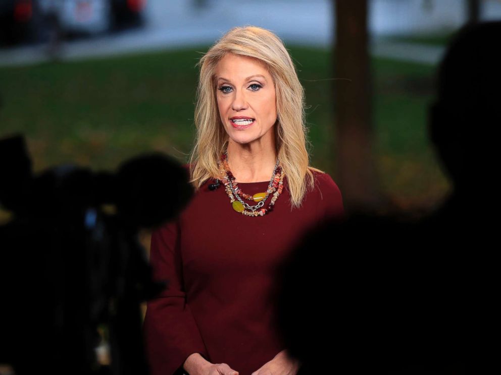 PHOTO: Counselor to President Donald Trump, Kellyanne Conway, is interviewed on television at the White Houses North Lawn in Washington, Nov. 7, 2018.
