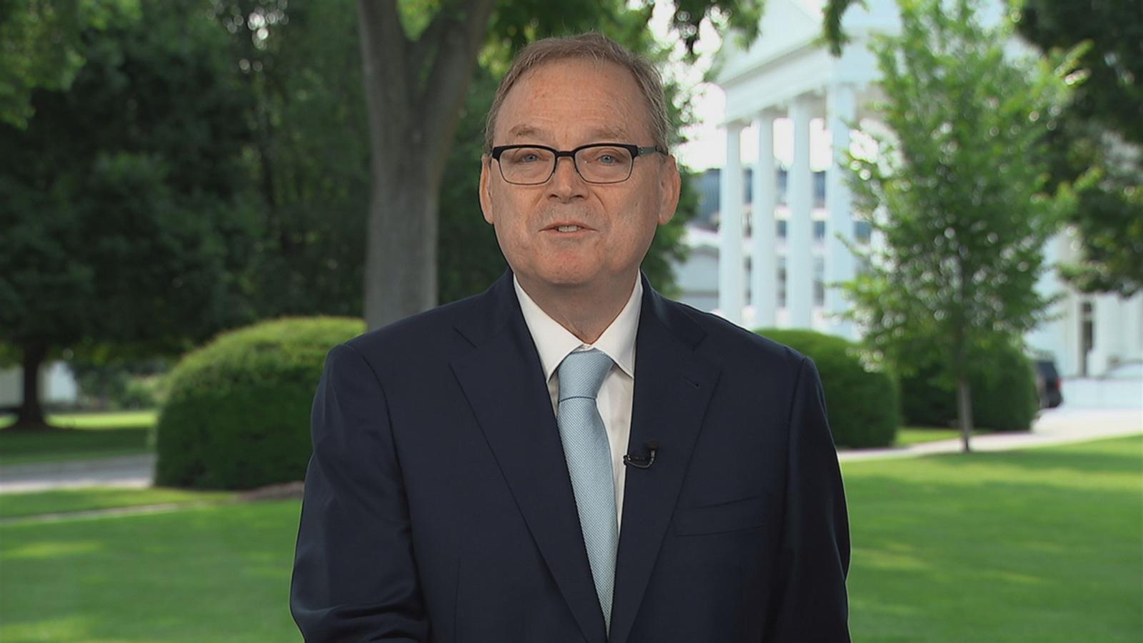 Top White House economic adviser expects Trump and Xi to talk this week