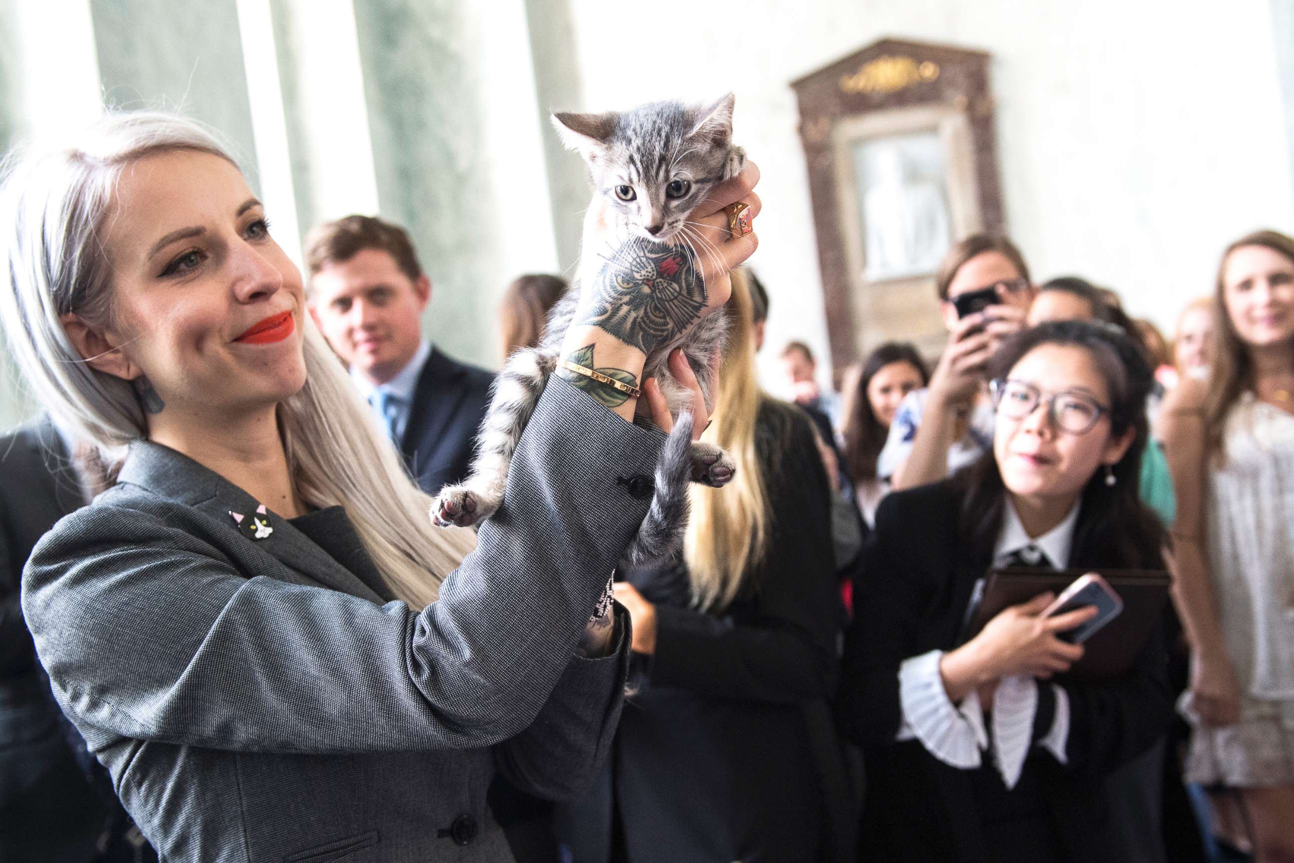 PHOTO: Hannah Shaw, an animal advocate known as "Kitten Lady," attends an event on bipartisan legislation introduced by Reps. Jimmy Panetta and Mike Bishop to end the Department of Agriculture's scientific testing on kittens on June 7, 2018.