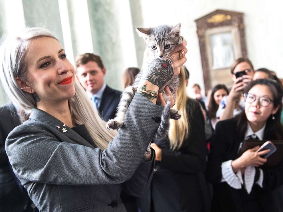 PHOTO: Hannah Shaw, an animal advocate known as Kitten Lady, attends an event on bipartisan legislation introduced by Reps. Jimmy Panetta and Mike Bishop to end the Department of Agricultures scientific testing on kittens on June 7, 2018.