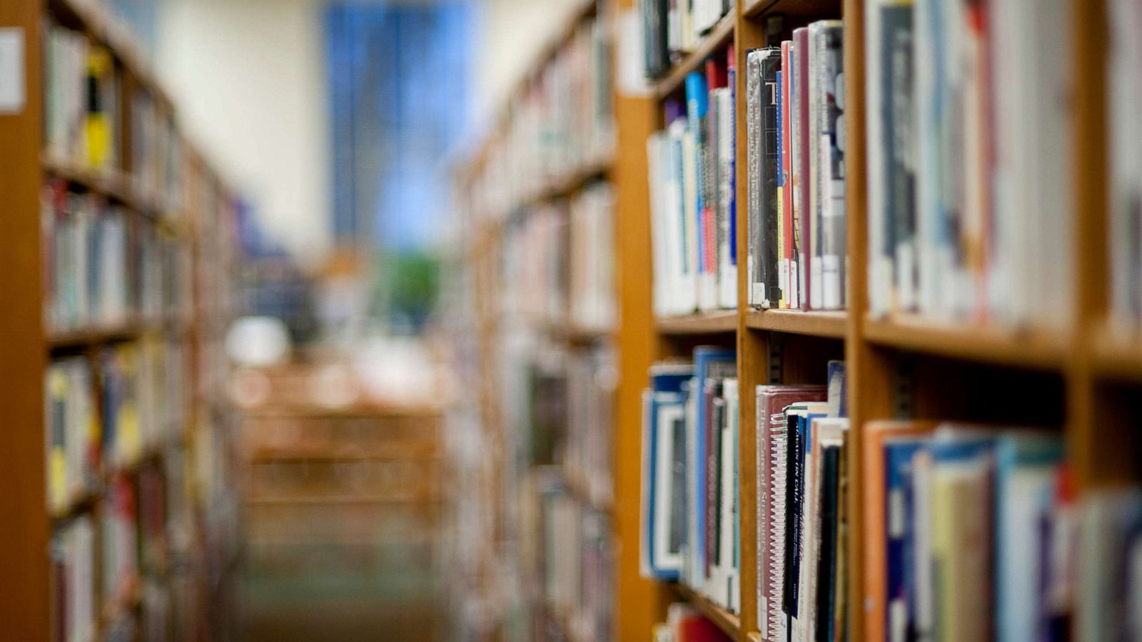 PHOTO: Books on shelf in library in a stock photo.