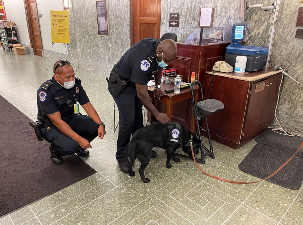 PHOTO: Lila, a Capitol Hill Police wellness dog receives pet's from two fellow colleagues.