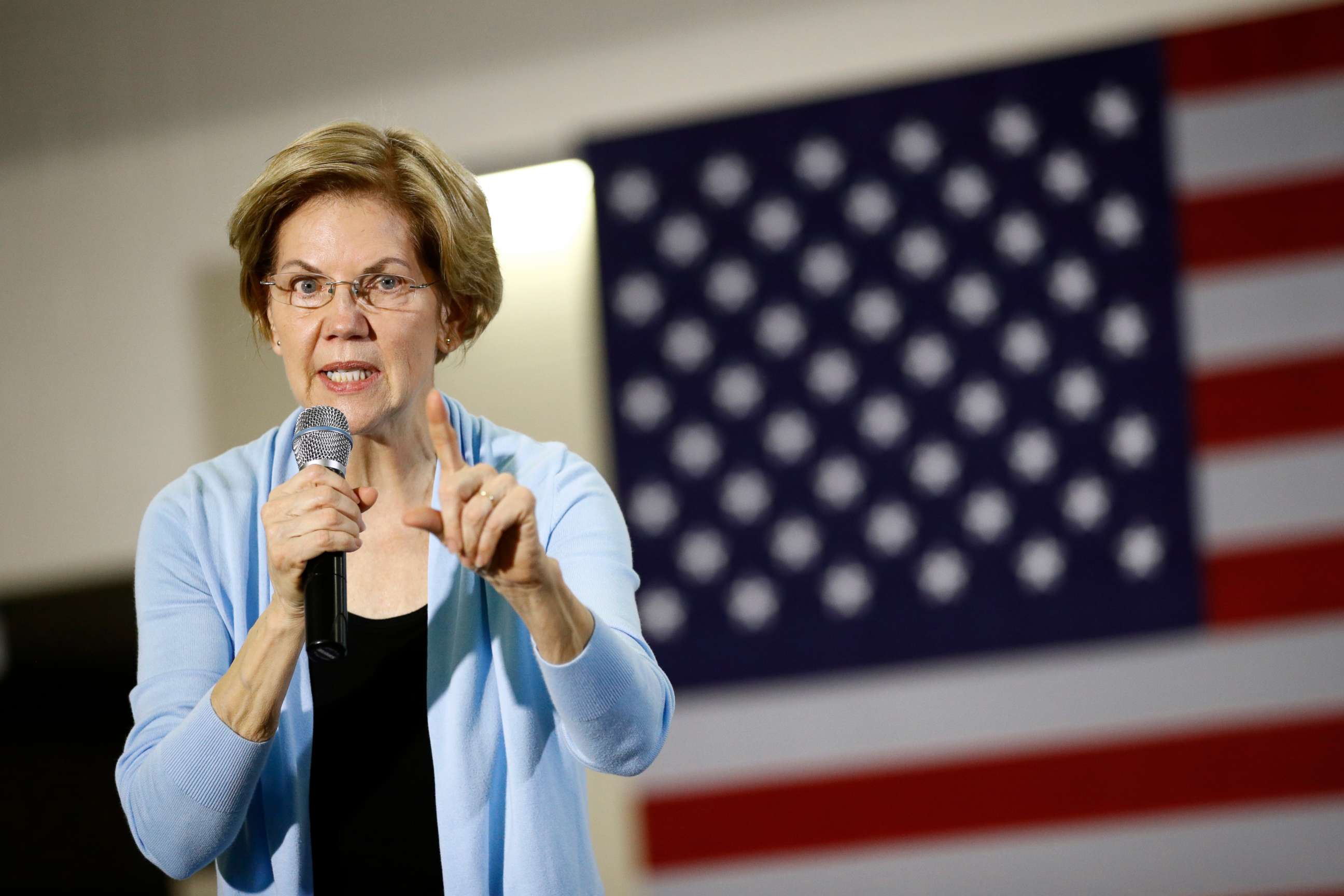 PHOTO: Democratic presidential candidate Sen. Elizabeth Warren, D-Mass., speaks during a campaign event Jan. 11, 2020, in Mason City, Iowa.