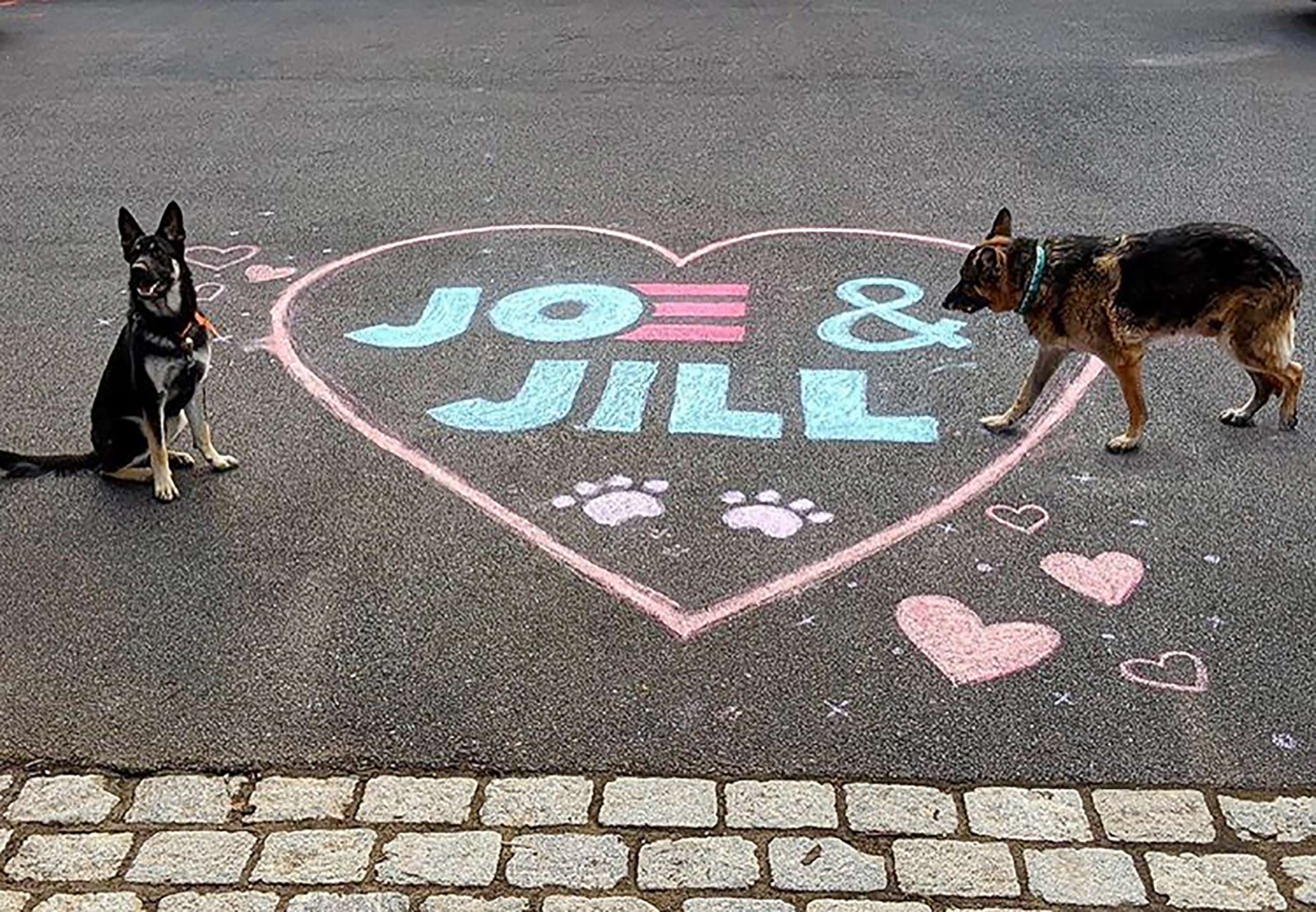 PHOTO: Joe Biden's dogs, Major and Champ, in a photo posted to Joe Biden's Instagram account.