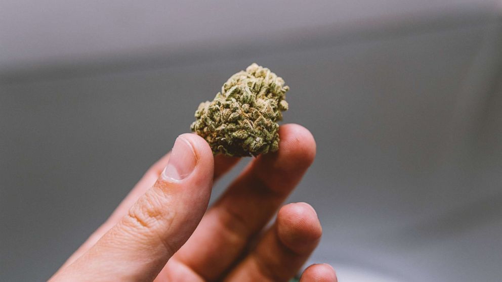 PHOTO: Marijuana bud.