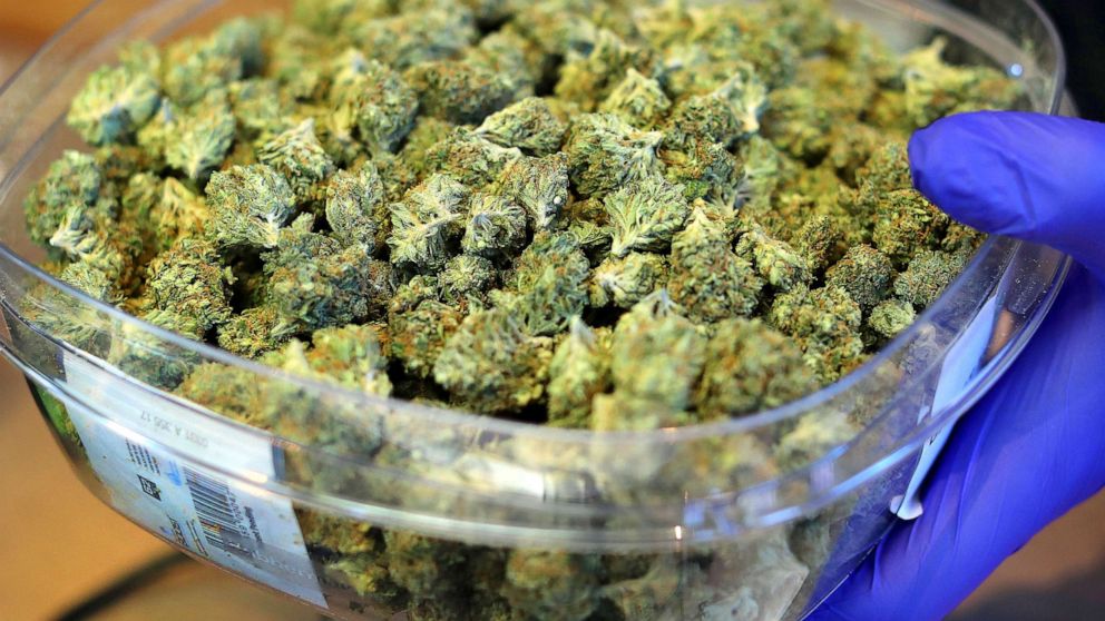 Advocates want legalized cannabis boom to help communities hurt when marijuana was illegal - ABC News