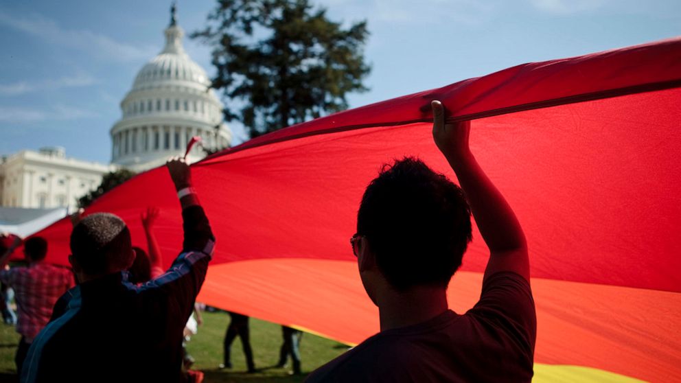 PHOTO: Activists carry a rainbow flag on the west lawn of the US Capitol during a protest October 11, 2009.  