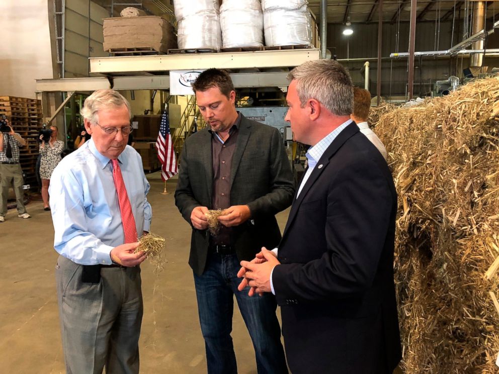 PHOTO: Senate Majority Leader Mitch McConnell, left, inspects a piece of hemp taken from a bale at a processing plant in Louisville, Ky., July 5, 2018.