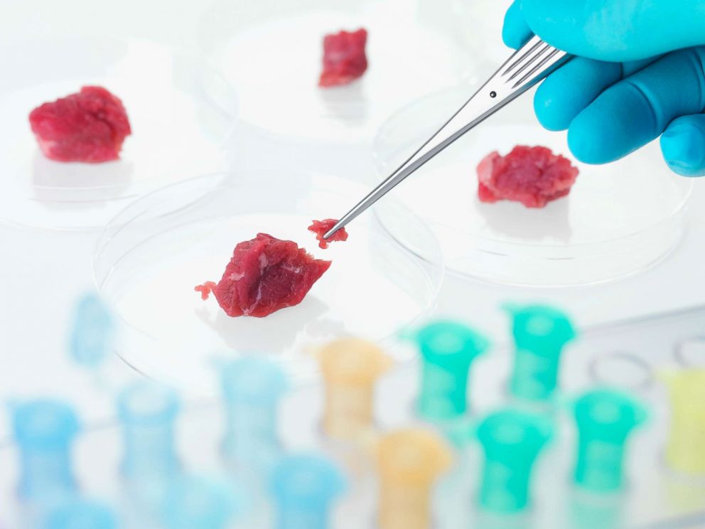 PHOTO: Meat is pictured in a lab in an undated stock photo.