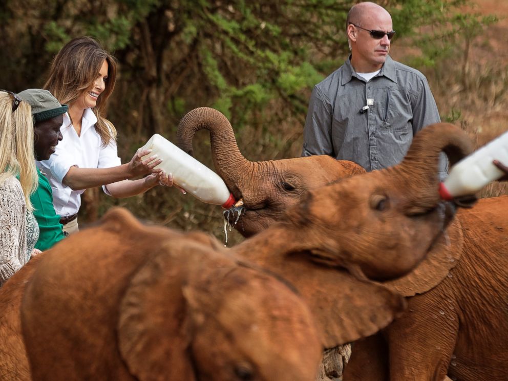 Melania Trump feeds a baby elephant