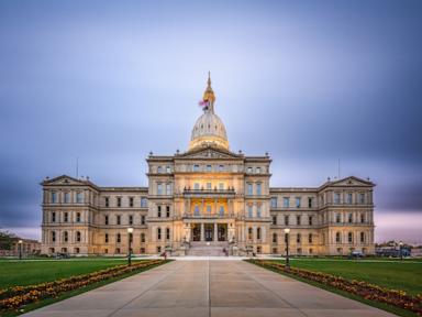 Contentious Michigan Senate primary divides Democrats over direction of party - image 8