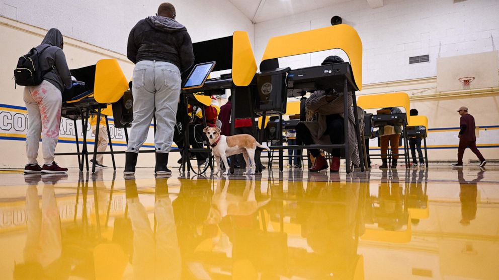 PHOTO: A dog looks on as voters cast their ballots for the US midterm election in Los Angeles, Nov. 8, 2022.