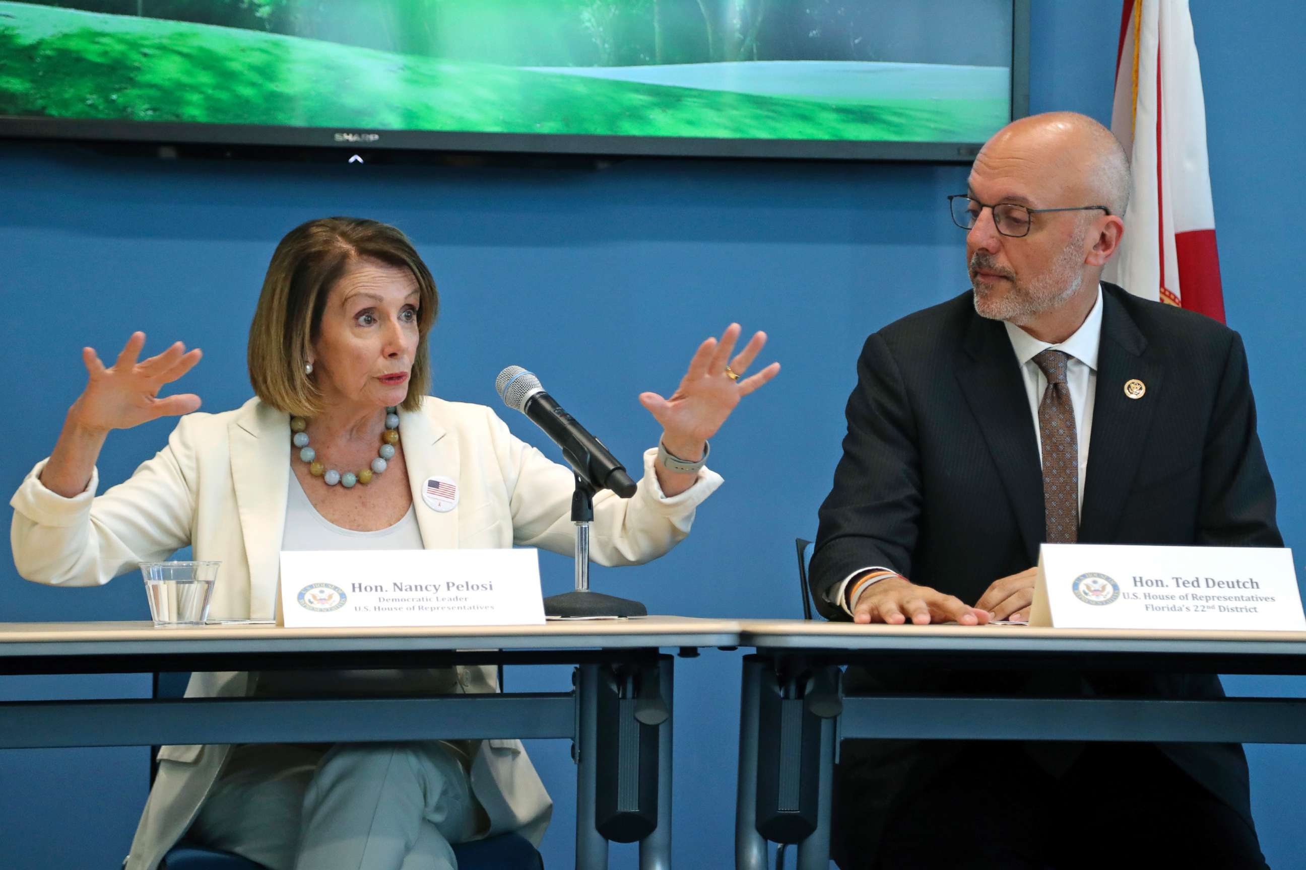 PHOTO: Rep. Ted Deutch looks on as House Minority Leader Nancy Pelosi speaks during a roundtable on gun violence at Coral Springs City Hall, Oct. 17, 2018, in Coral Springs, Fla.