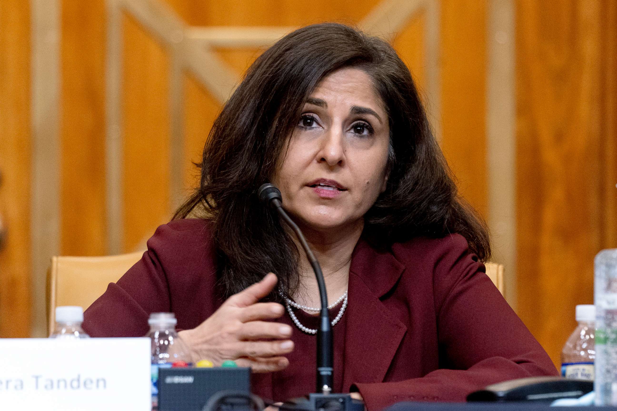 PHOTO: Neera Tanden testifies during a Senate Committee on the Budget hearing on Capitol Hill in Washington, Feb. 10, 2021.