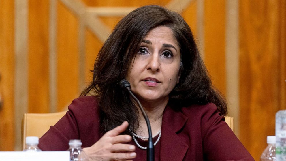 PHOTO: Neera Tanden testifies during a Senate Committee on the Budget hearing on Capitol Hill in Washington, Feb. 10, 2021.