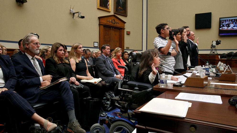 PHOTO: Witnesses including from left, Maria Isabel Bueso, Jonathan Sanchez, Shoba Sivaprasad Wadhia, Fiona Danaher, Anthony Marino and Thomas Homan are sworn in at a House Oversight subcommittee hearing, Sept. 11, 2019, in Washington.